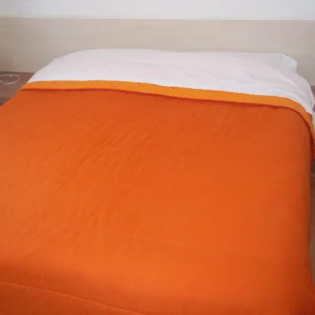 Hotel Gronda Lagunare 2*